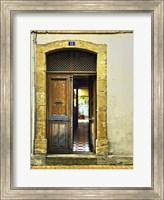 Framed Weathered Doorway III