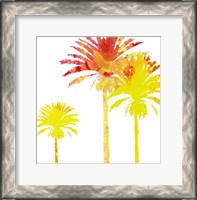 Framed Sunny Palm I