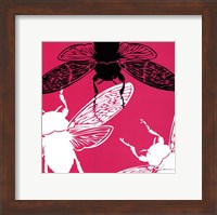 Framed Pop Fly II