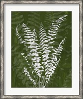 Framed Jewel Ferns I