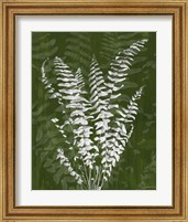 Framed 'Jewel Ferns I' border=