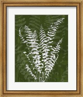 Framed Jewel Ferns I