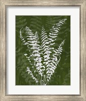 Framed Jewel Ferns I