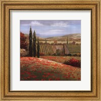 Framed Tuscan Cypress I