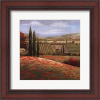 Framed Tuscan Cypress I