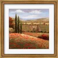 Framed Tuscan Cypress I