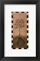 Framed Country Pear