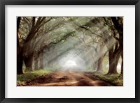 Framed Evergreen Plantation A