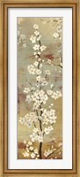 Framed Blossom Canopy II