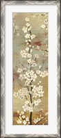 Framed Blossom Canopy II