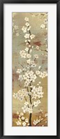 Blossom Canopy II Framed Print
