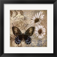 Butterfly Garden I Framed Print