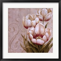 Perfect Blooms II Framed Print