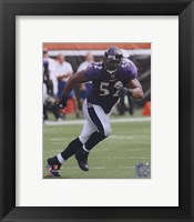 Framed Ray Lewis 2010 Action On The Field