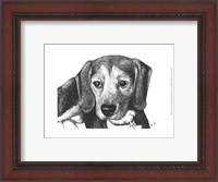 Framed Lindy the Beagle