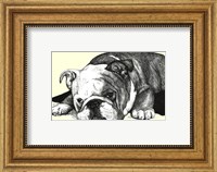 Framed Gracie the Bulldog