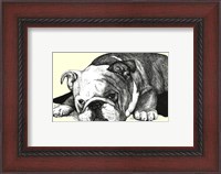 Framed Gracie the Bulldog