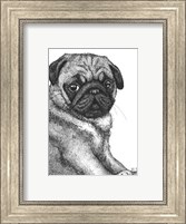 Framed Ralph the Pug