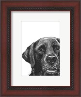 Framed Millie the Black Lab