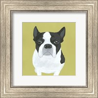 Framed Miss Pickles