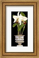 Framed Small Orchids in Silver (IP) II
