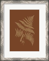 Framed Sepia Ferns on Brick (WG) III