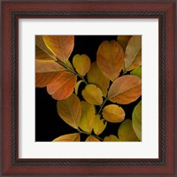 Framed Small Vivid Leaves I