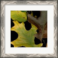 Framed Small Vivid Leaves II