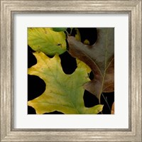 Framed Small Vivid Leaves II