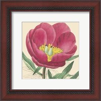 Framed Small Peony Collection I (P)