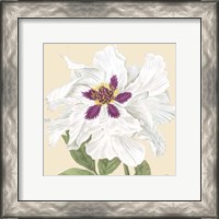 Framed Small Peony Collection IV (P)