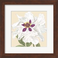 Framed Small Peony Collection IV (P)