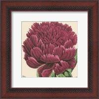 Framed Small Peony Collection V (P)
