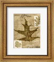 Framed Mini Leaf Collage II (ST)