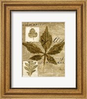 Framed Mini Leaf Collage III (ST)