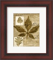 Framed Mini Leaf Collage III (ST)