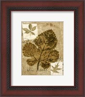 Framed Mini Leaf Collage IV (ST)