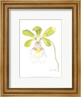 Framed Small Orchid Beauty I (U)