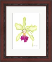 Framed Small Orchid Beauty III (U)