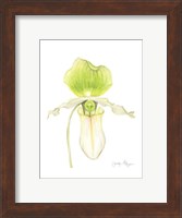 Framed Small Orchid Beauty IV (U)