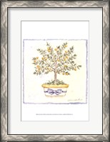 Framed French Topiary I