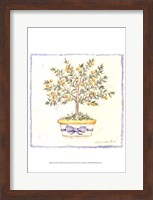 Framed French Topiary I