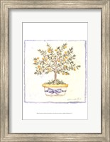 Framed French Topiary I