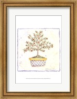 Framed French Topiary II