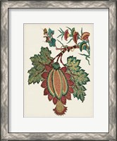 Framed Small Jacobean Floral II