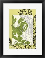 Framed Sm Translucent Wildflowers III