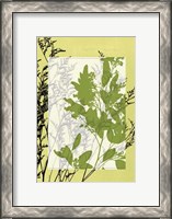 Framed Sm Translucent Wildflowers IV