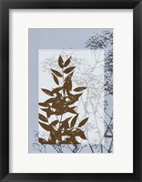 Framed Sm Translucent Wildflowers V