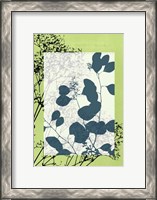 Framed Sm Translucent Wildflowers VIII