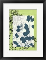 Framed Sm Translucent Wildflowers VIII